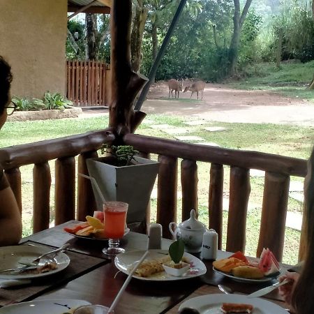 Saffron Eco Cottage Ела Екстериор снимка