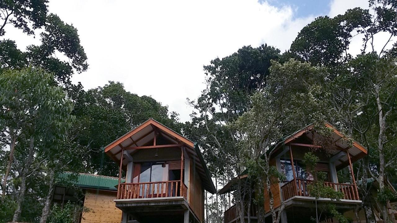 Saffron Eco Cottage Ела Екстериор снимка