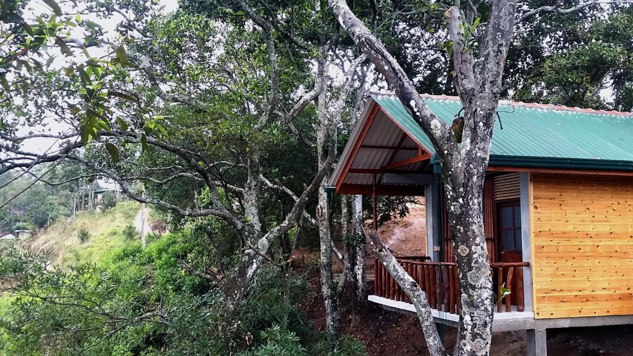 Saffron Eco Cottage Ела Екстериор снимка